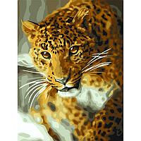 Картина по номерам на картоне ТРИ СОВЫ "Леопард", 30х40, с акриловыми красками и кистями