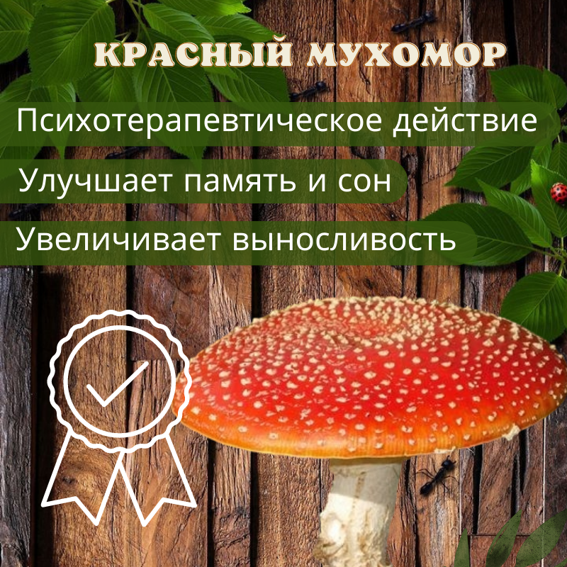 Мухомор красный (Amanita Muscaria), шляпки 50гр - фото 2 - id-p111245283
