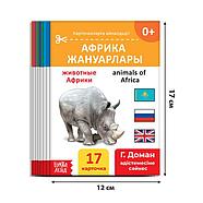 Набор книг по методике Г. Домана на казахском языке, 8 шт., фото 3