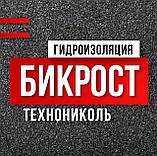 Рулонная кровля ТехноНИКОЛЬ БИКРОСТ ТКП 10*1, фото 2