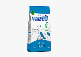 Сухой корм для взрослых собак крупных пород Forza10 Maxi Maintenance  Pesce (рыба)