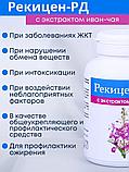БАД "Рекицен-РД с экстрактом иван-чая", фото 3