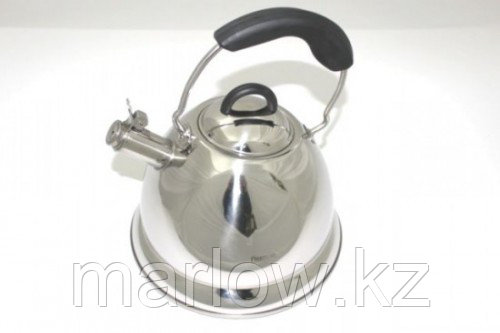 5927 FISSMAN Чайник для кипячения воды ASTANA 5,0 л (нерж. сталь) - фото 1 - id-p111399816