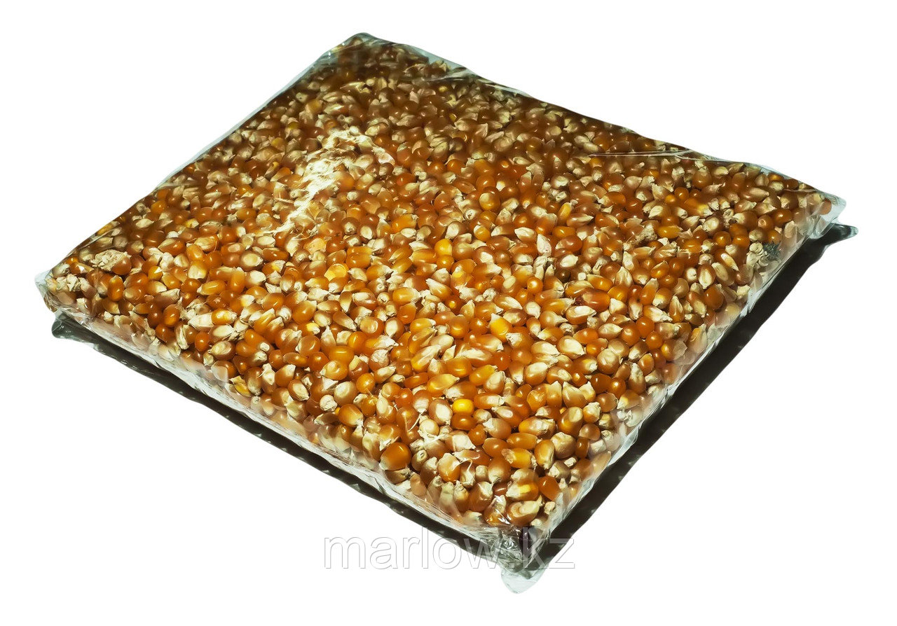 Зерно кукурузы для приготовления попкорна, 1 кг - фото 1 - id-p111403613