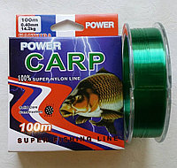 Леска CARP (POWER) 100м 0.4мм