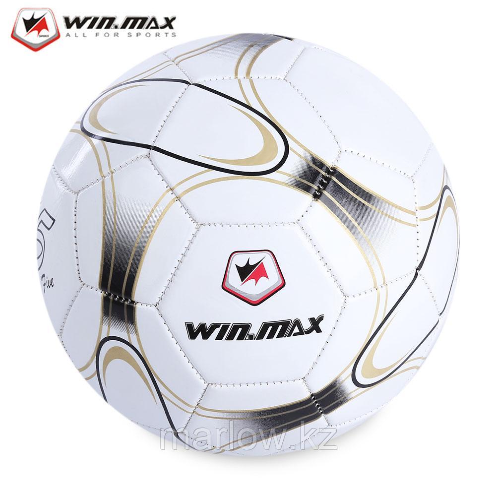 Мяч футб. FUN WinMax WMY01048 - фото 1 - id-p111405571