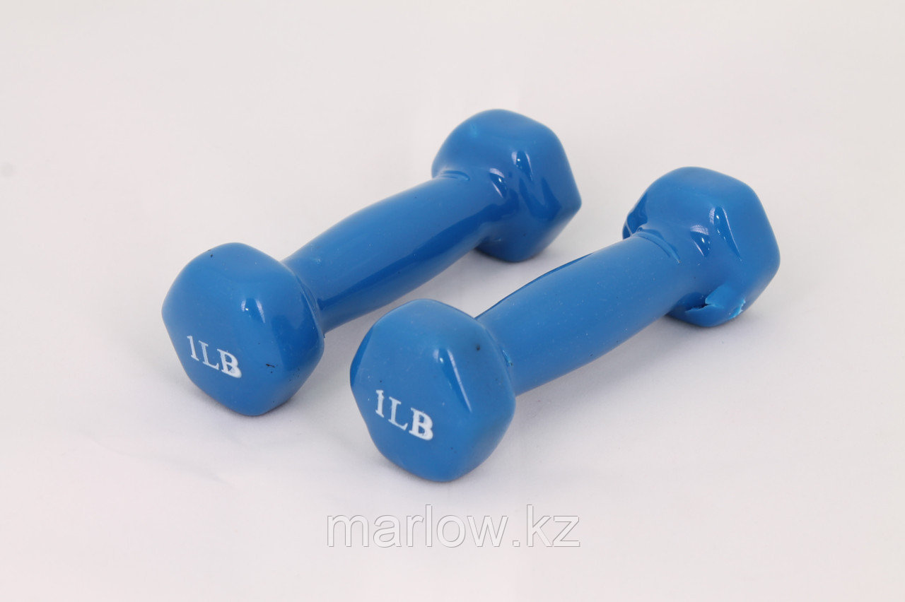 Гантели для фитнеса 1LB Blue - фото 1 - id-p111407291