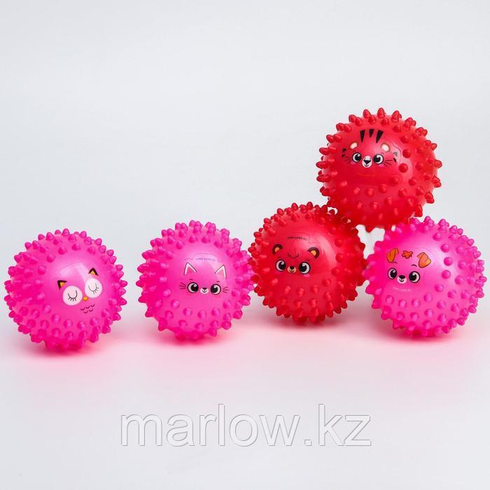 Набор развивающих массажных мячиков, «Веселые мордочки», средней жёсткости, d= 8 см, цвет МИКС, 5 шт ... - фото 4 - id-p111407361