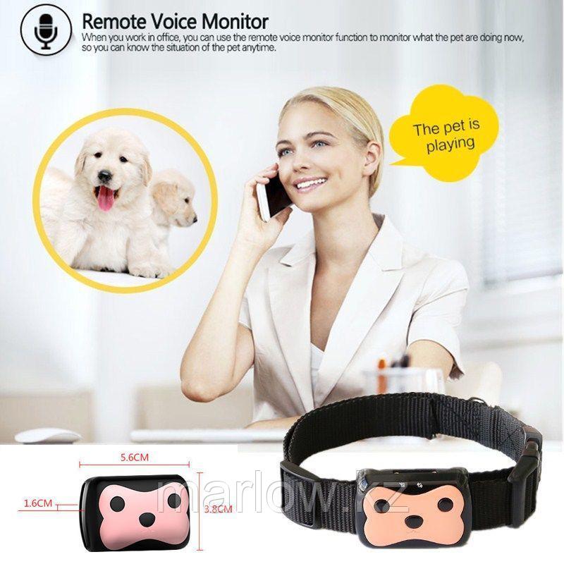 Умный ошейник для собак и кошек Pet GPS Tracker(Пэт ДжиПиЭс Трэке) - фото 6 - id-p111419463