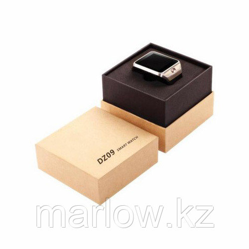 Умные часы DZ09 - Smart Watch DZ-09 - золото, коричневый ремешок - фото 2 - id-p111419490