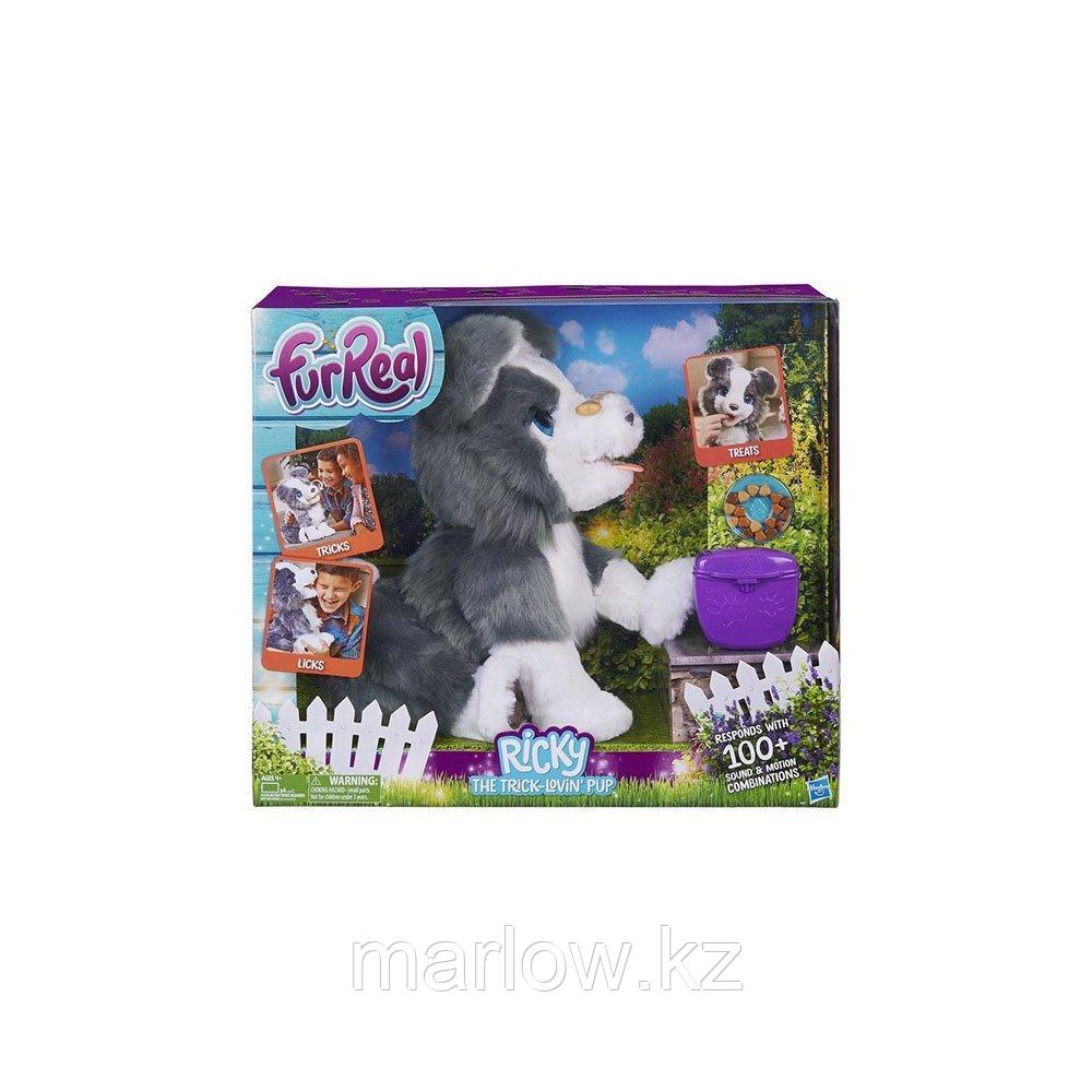 Hasbro Furreal Friends E0384 Щенок Хаски - фото 2 - id-p111411849