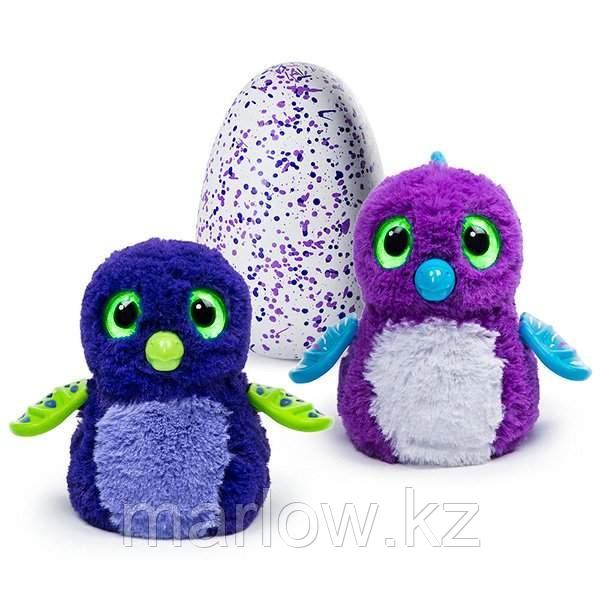 Hatchimals 19100-PEN-TEAL Хетчималс Пингвинчик - интерактивный питомец, вылупляющийся из яйца - фото 10 - id-p111411866