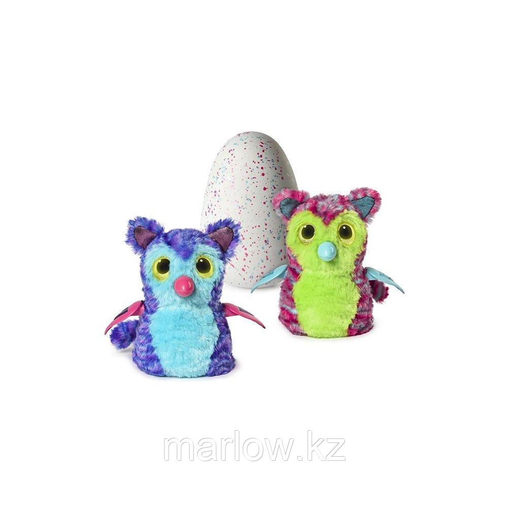 Hatchimals 19100-TIG Хетчималс Пингвинчик - интерактивный питомец, вылупляющийся из яйца - фото 1 - id-p111411868