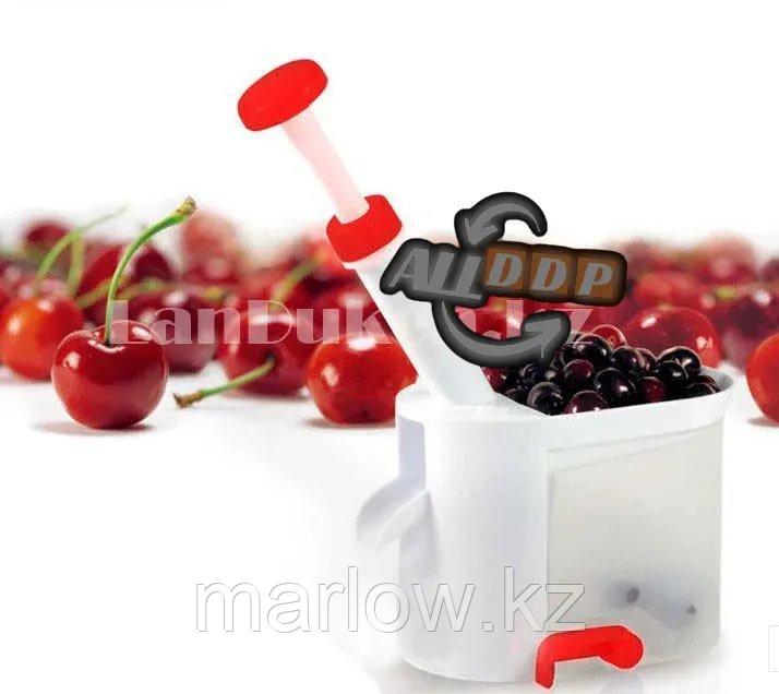 Машинка для удаления косточек из вишни, черешни, прибор для удаления косточек. - фото 1 - id-p111424507