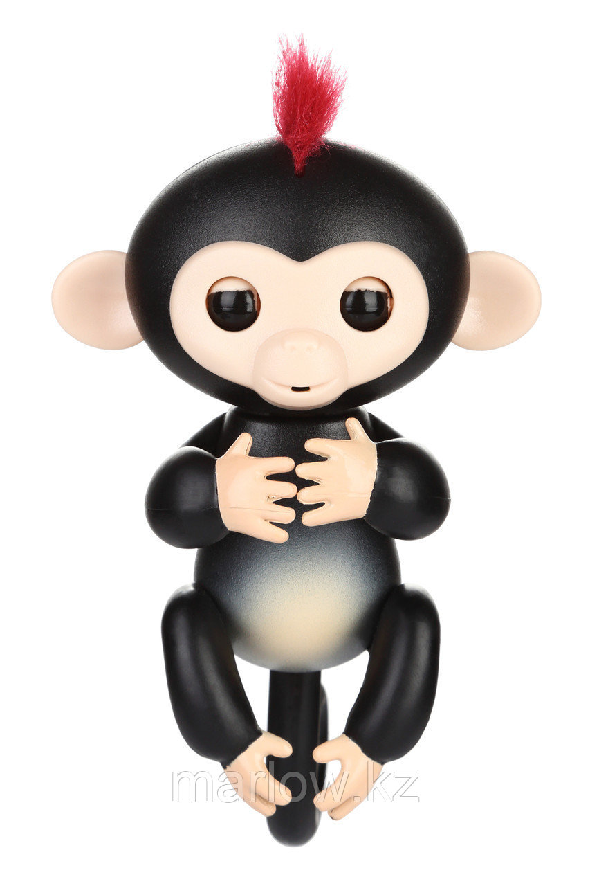 Интерактивная обезьянка Фин Fingerlings Baby Monkey, черный - фото 7 - id-p111419646