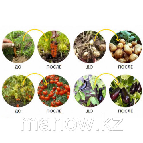 Биоудобрение Активатор роста растений ArgoMax - фото 4 - id-p111421647