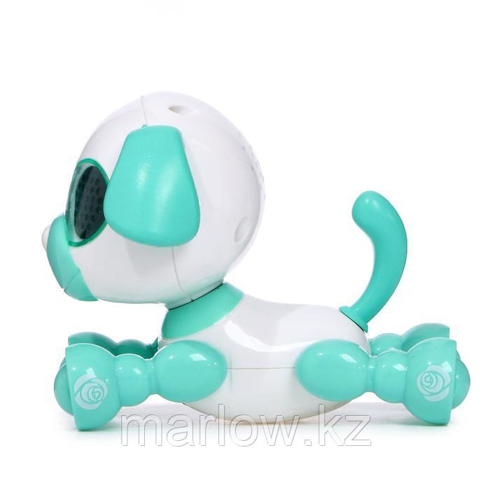 Робот-собака «Умный дружок», интерактивный, звук, свет, цвет бирюзовый - фото 2 - id-p111431510