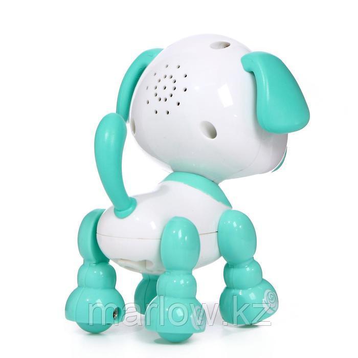 Робот-собака «Умный дружок», интерактивный, звук, свет, цвет бирюзовый - фото 3 - id-p111431510