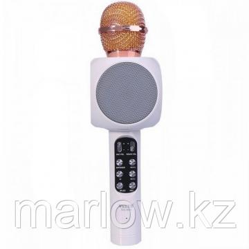 Колонка с функцией микрофона караоке WSTER WS-1816 белый - фото 1 - id-p111419764