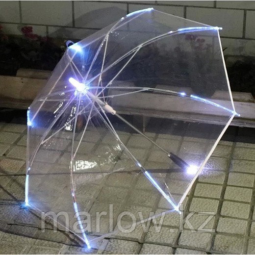 Прозрачный светящийся зонт - фото 4 - id-p111420742