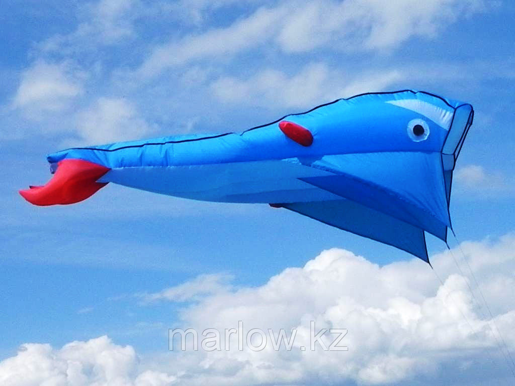 Воздушный змей - Осьминог, голубой - фото 3 - id-p111421764