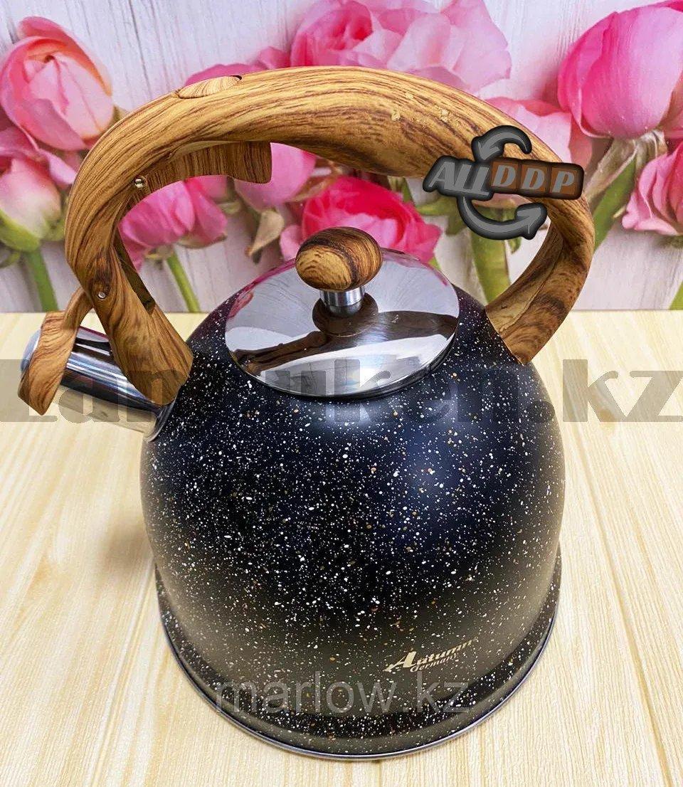 Чайник для кипячения воды со свистком эмалированный с подарочной сумкой в комплекте 3 литр цвет черный - фото 9 - id-p111424714