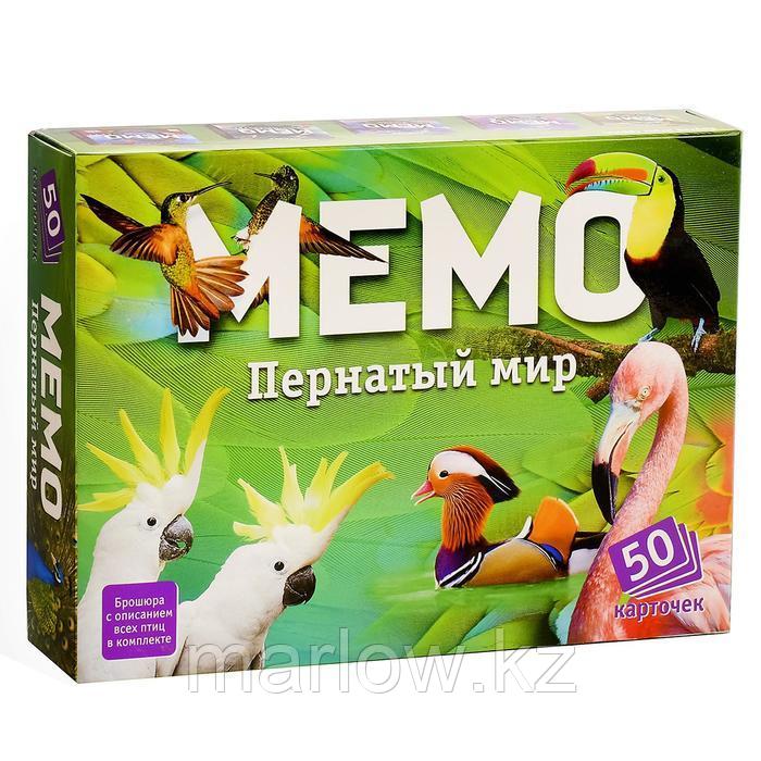 Настольная игра «Мемо. Пернатый мир», 50 карточек + познавательная брошюра - фото 1 - id-p111431644