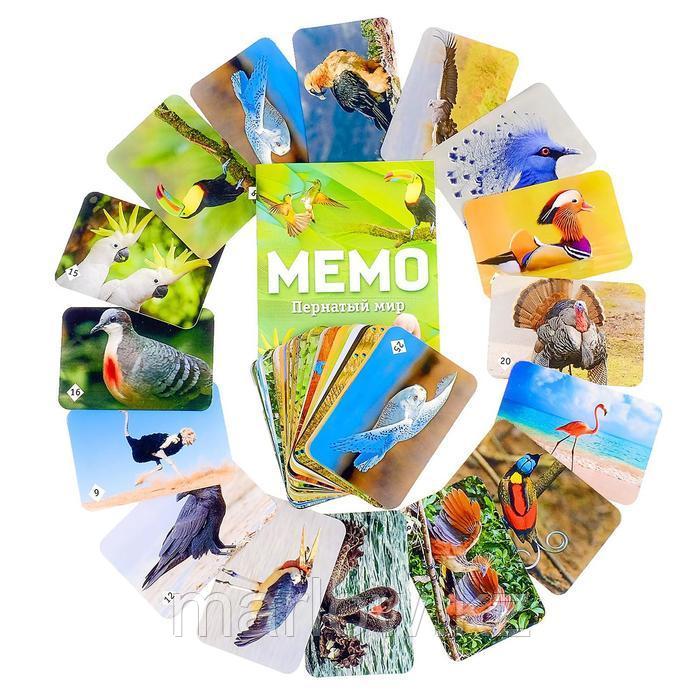 Настольная игра «Мемо. Пернатый мир», 50 карточек + познавательная брошюра - фото 2 - id-p111431644