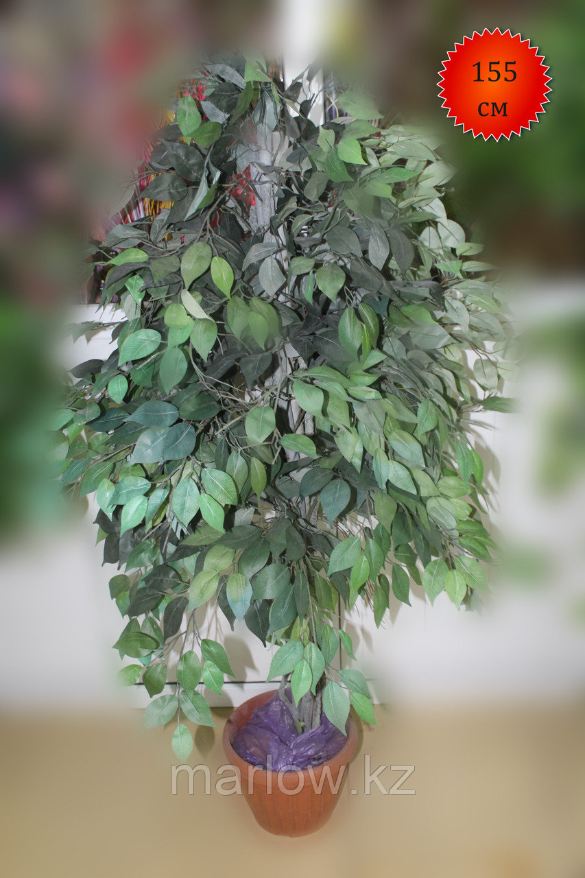 Дерево искусственное, фикус темно-зеленый, 155 см - фото 1 - id-p111415175