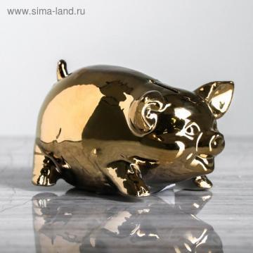 Копилка - Золотая свинка, Символ года 2019 - фото 2 - id-p111420888