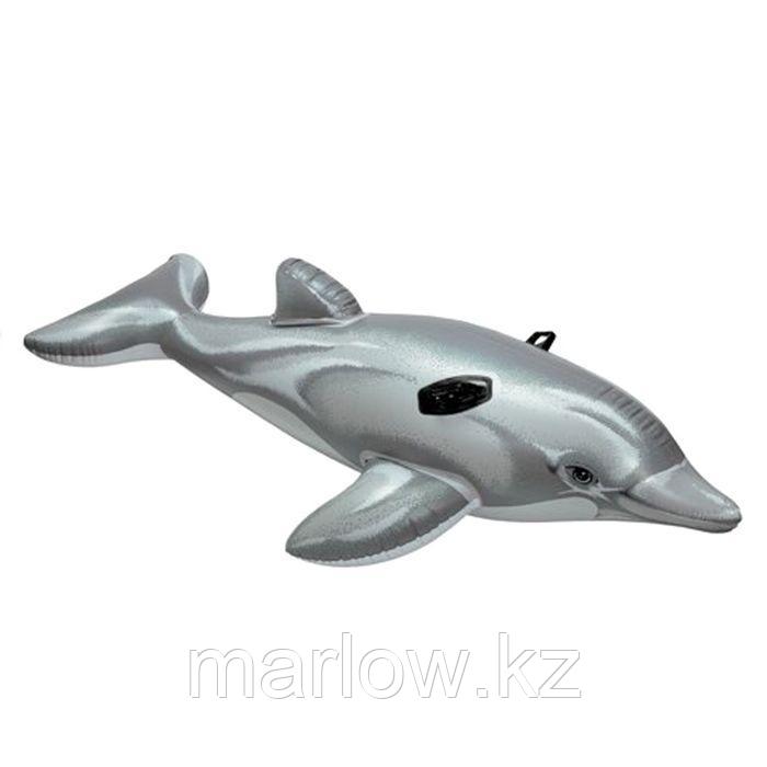 Игрушка для плавания «Дельфин», 175 х 66 см, от 3 лет, 58535NP INTEX - фото 1 - id-p111430715