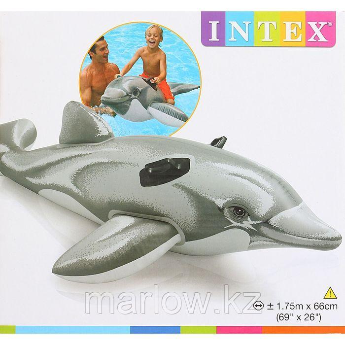 Игрушка для плавания «Дельфин», 175 х 66 см, от 3 лет, 58535NP INTEX - фото 4 - id-p111430715