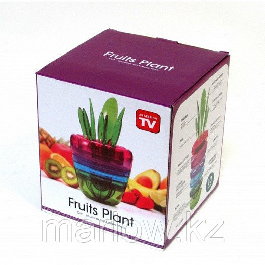 Набор для нарезки овощей и фруктов Fruits Plant - фото 3 - id-p111420919