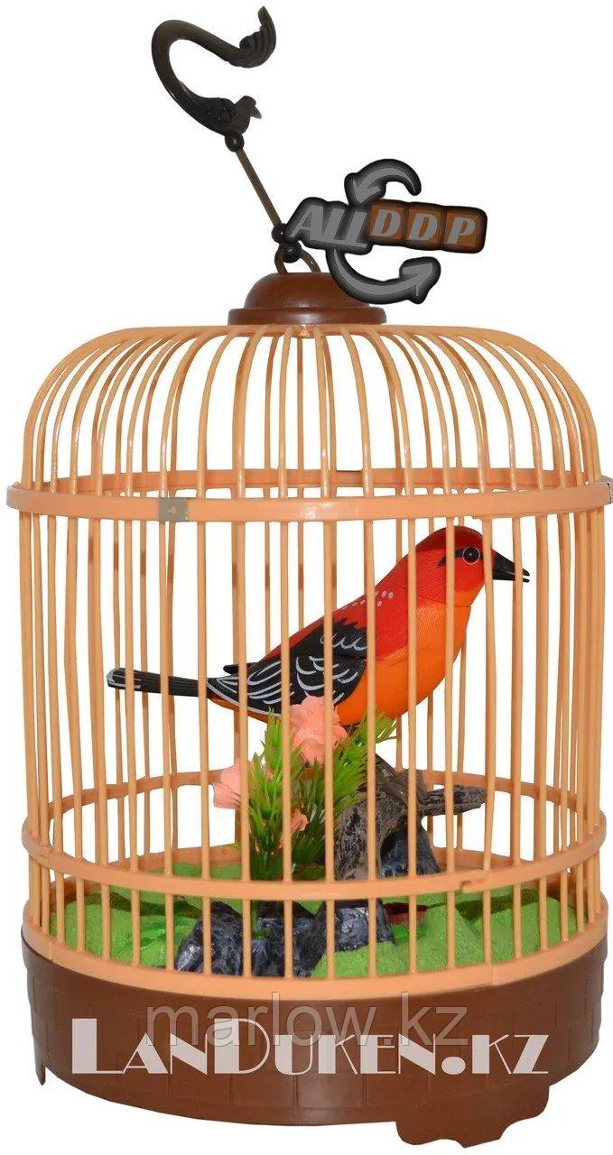Интерактивная поющая птичка в клетке HL 507 B (музыкальная игрушка) - фото 1 - id-p111424854
