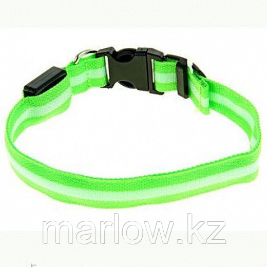 Светящийся ошейник со светоотражателем - 38-40 см, зеленый - фото 1 - id-p111416091