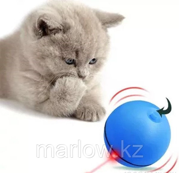Лазерный шар-игрушка для кошек Magic Led-Ball - фото 7 - id-p111422006