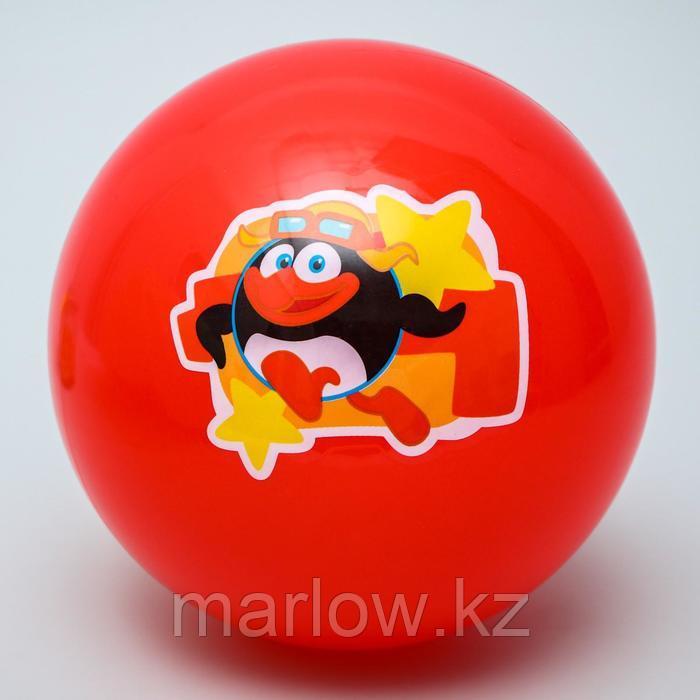 Мяч детский СМЕШАРИКИ "Пин" 22 см, 60 гр, цвета МИКС - фото 2 - id-p111432669