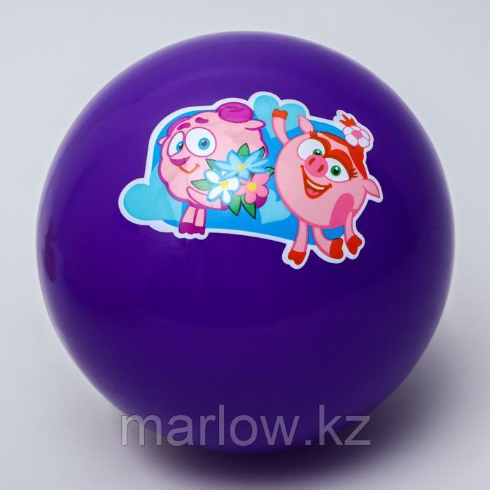 Мяч детский СМЕШАРИКИ "Нюша и Бараш" 22 см, 60 гр, цвета МИКС - фото 1 - id-p111432675