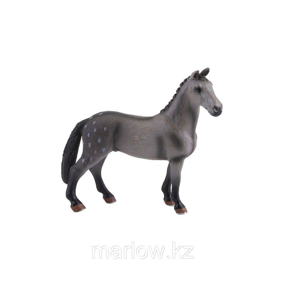 Игрики ZOO TAV010 Фигурка ,Лошадь,, 8 видов (в ассортименте) - фото 2 - id-p111411378