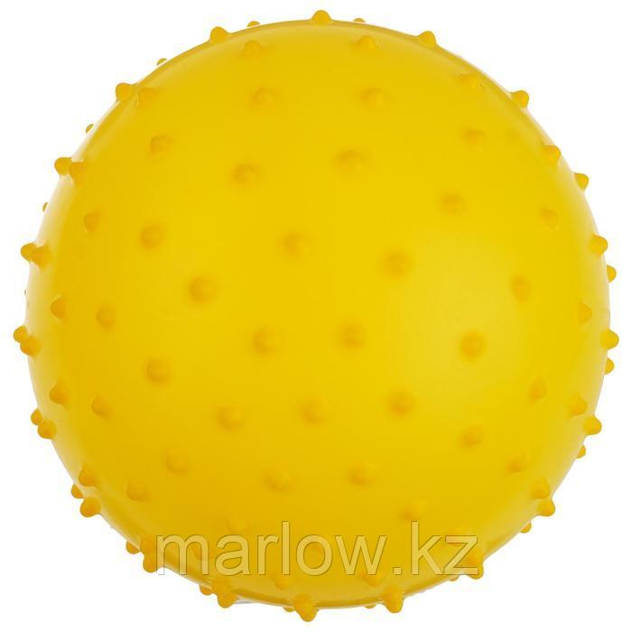 Мячик массажный, матовый пластизоль, d=20 см, 50 г, МИКС - фото 2 - id-p111430898