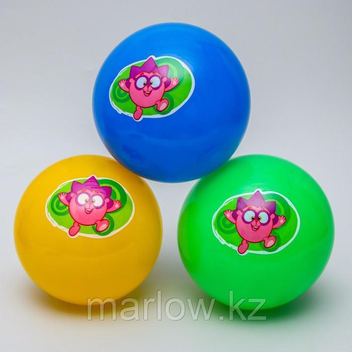 Мяч детский СМЕШАРИКИ "Ежик" 22 см, 60 гр, цвета МИКС - фото 4 - id-p111432721