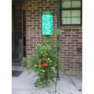 Установка для выращивания помидор Топси Торви - фото 3 - id-p111416225