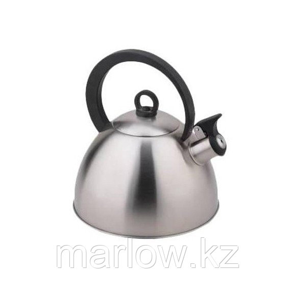 Чайник кухонный металлический со свистком TECO TC-111 - фото 1 - id-p111416261