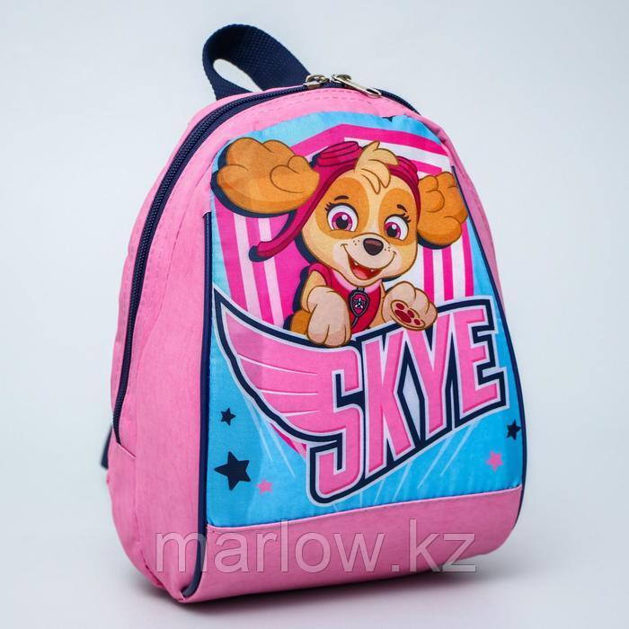 Рюкзак "Скай", 20*13*26, отд на молнии, розовый - фото 1 - id-p111431937