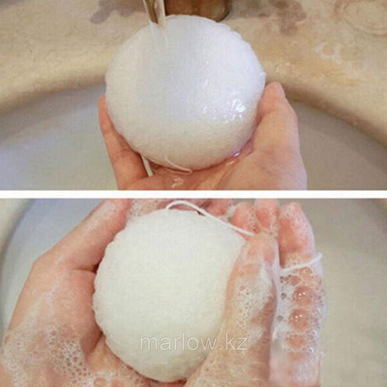 Спонж для умывания Конняку - Konjac Sponge - фото 3 - id-p111419267