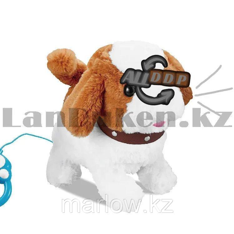 Собачка интерактивная плюшевая ходячая лающая с ветеринарным набором белого цвета с коричневым поводком - фото 8 - id-p111425203