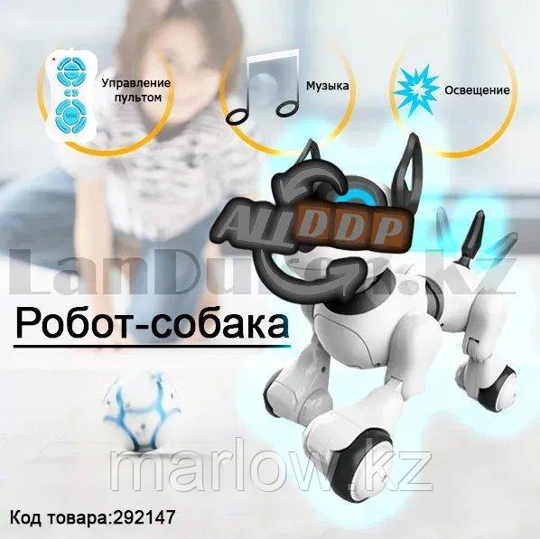 Игрушка Робот собака на батарейках танцующая музыкальная на радиоуправлении JZL 20173-1 - фото 1 - id-p111425205