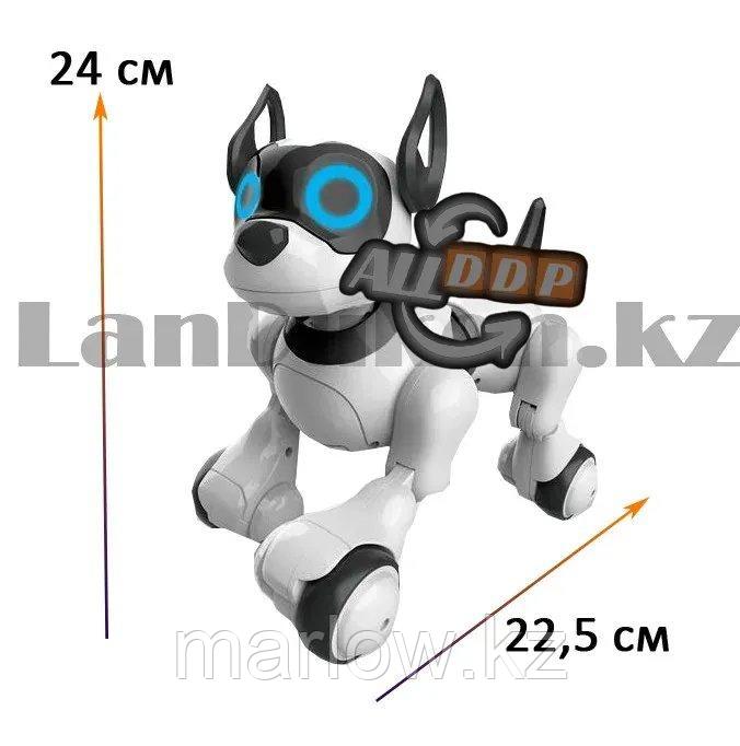 Игрушка Робот собака на батарейках танцующая музыкальная на радиоуправлении JZL 20173-1 - фото 4 - id-p111425205