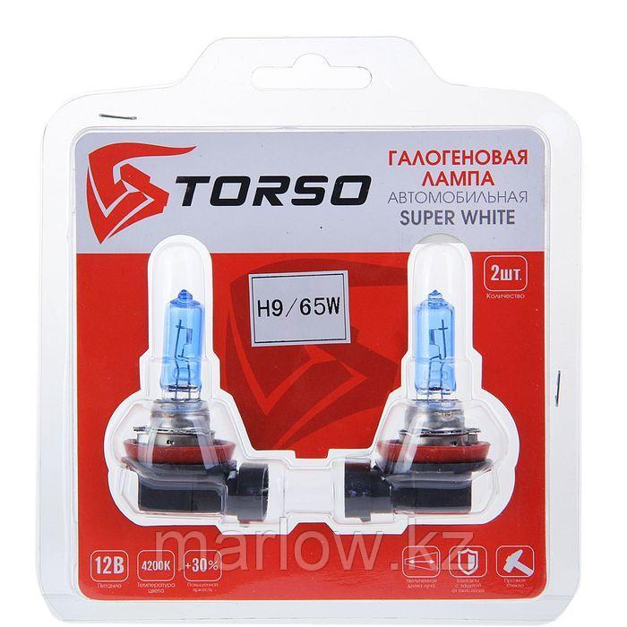 Комплект галогенных ламп TORSO H9, 4200 K, 12 В, 65 Вт, 2 шт., SUPER WHITE - фото 2 - id-p111429151