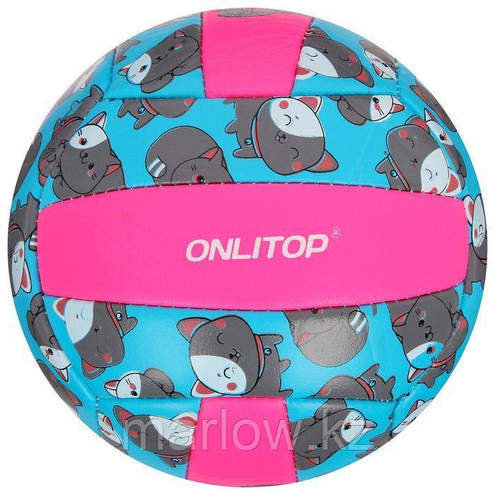 Мяч волейбольный ONLITOP «Кошечка», размер 2, 150 г, 2 подслоя, 18 панелей, PVC, бутиловая камера - фото 3 - id-p111432127